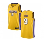 Men's Nike Los Angeles Lakers #9 Luol Deng Swingman Gold Home NBA Jersey - Icon Edition