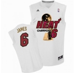 nba miami heat #6 james white[champions]