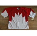 Team Canada jerseys #29 blank white[1972 Vintage]