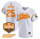 Men's Tennessee Volunteers #25 Blake Burke White Pinstripe 2024 Champions Vapor Limited Stitched Jersey