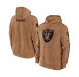 Men's Las Vegas Raiders 2023 Brown Salute to Service Pullover Hoodie