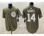Men's Chicago Cubs #14 Ernie Banks Pinstripe Olive 2026 Armed Forces Day Salute To Service Stitched Baseball Jersey