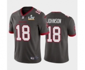 Tampa Bay Buccaneers #18 Tyler Johnson Pewter Super Bowl LV Jersey